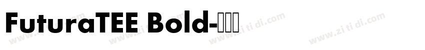 FuturaTEE Bold字体转换